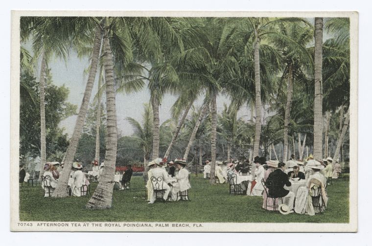 6.3 Afternooon Tea Palm Beach illustration - potentially a hand colored photograph