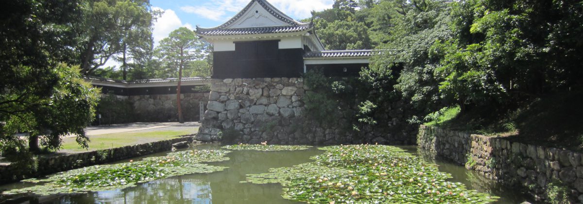 Kochi castle