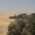 where the desert meets the forest