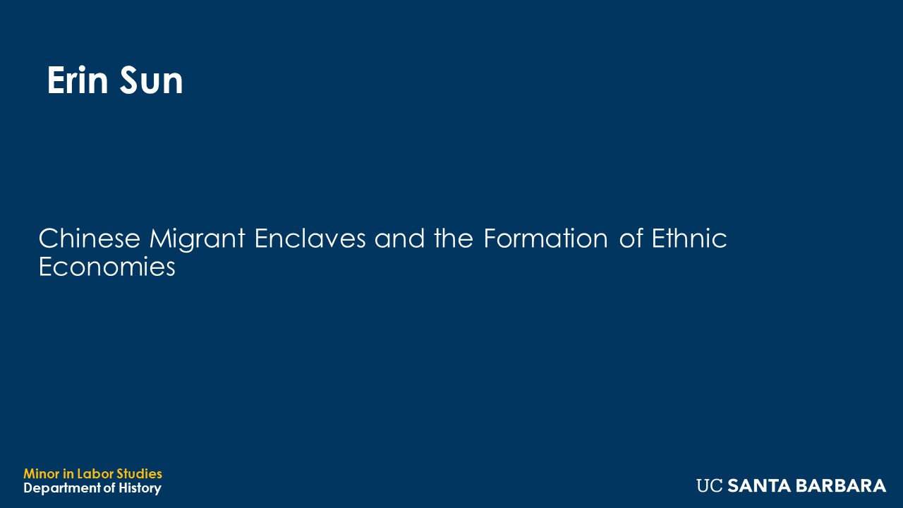 Banner for Erin Sun. "Chinese Migrant Enclaves and the Formation of Ethnic Economies"
