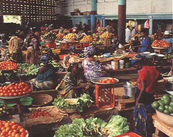 illustration of an outside produce market